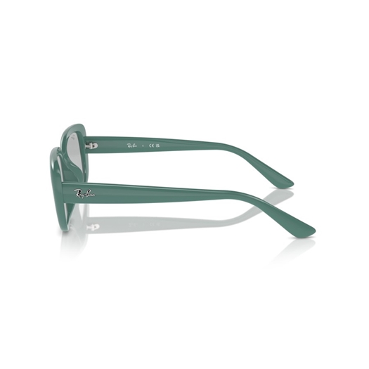 RAY-BAN RB4421D - 676287