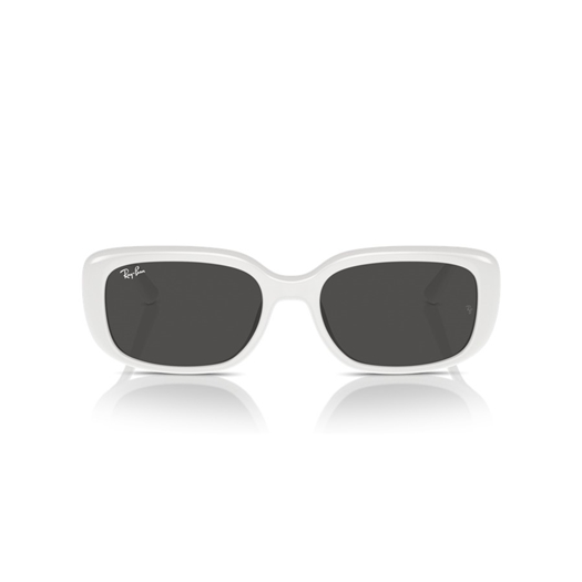 RAY-BAN RB4421D - 677287