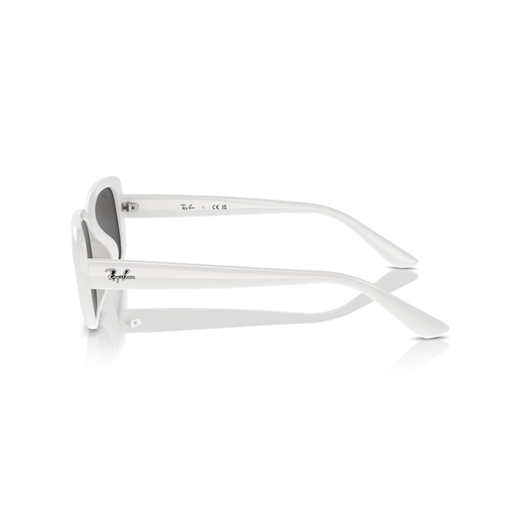 RAY-BAN RB4421D - 677287