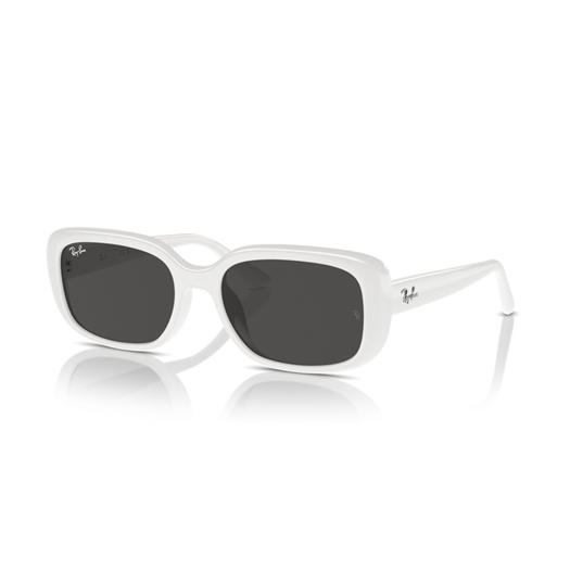 RAY-BAN RB4421D - 677287