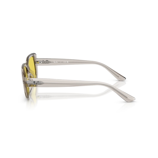 RAY-BAN RB4421D - 681885