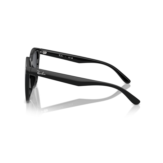 RAY-BAN RB4423D - 601/87