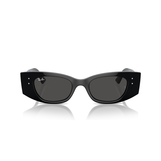 RAY-BAN RB4427 - 667787 KAT