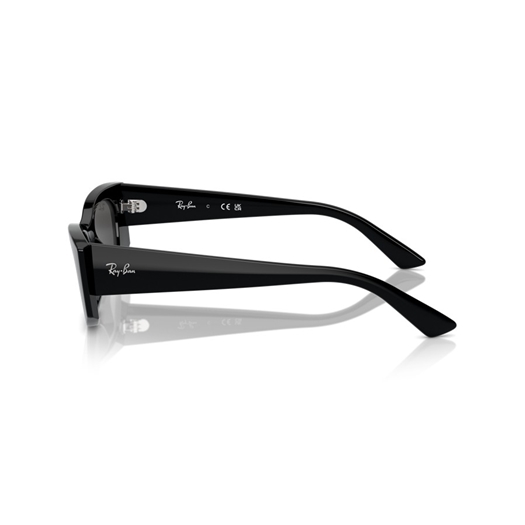 RAY-BAN RB4427 - 667787 KAT