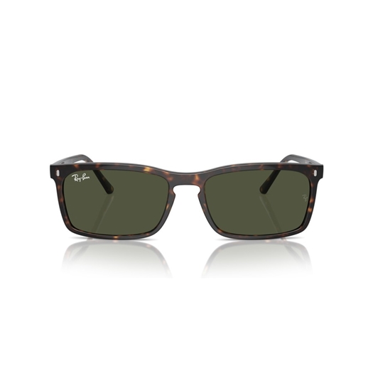 RAY-BAN RB4435 - 902/31