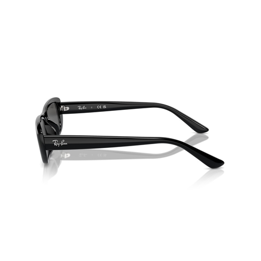 RAY-BAN RB4436D - 667787