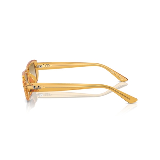 RAY-BAN RB4436D - 668213