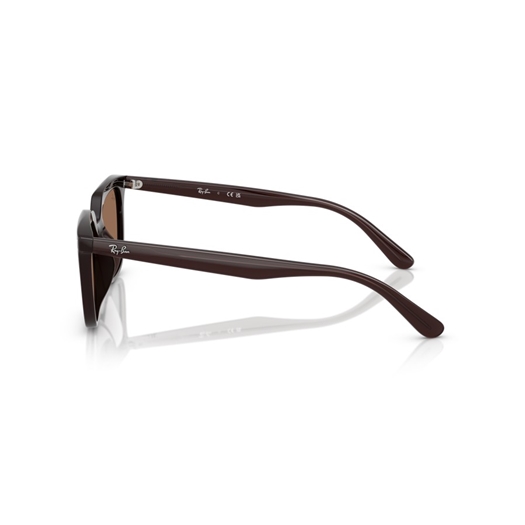 RAY-BAN RB4439D - 623173