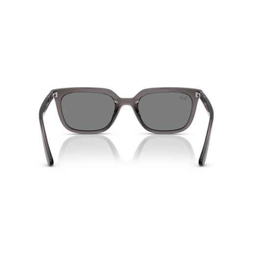 RAY-BAN RB4439D - 667587