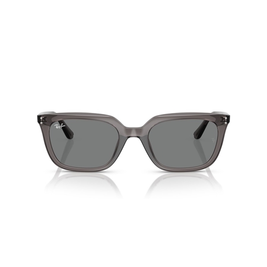 RAY-BAN RB4439D - 667587