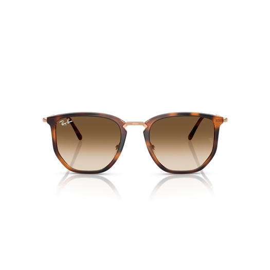 RAY-BAN RB4451 - 680451