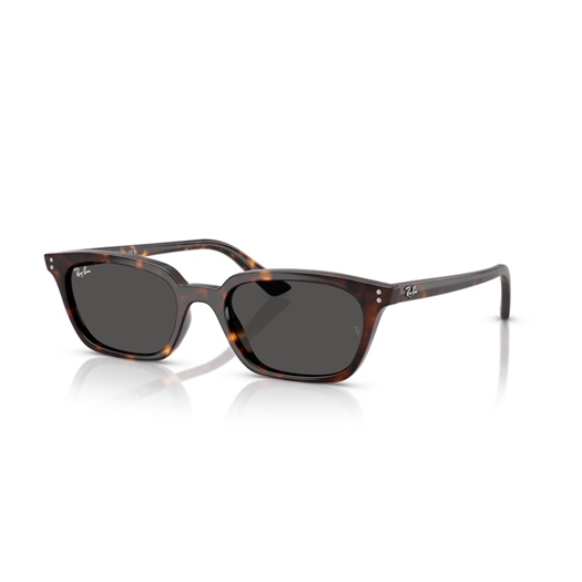 RAY-BAN RB4456 - 135987 ZAYA