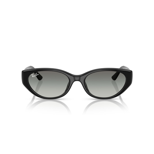 RAY-BAN RB4457D - 667711