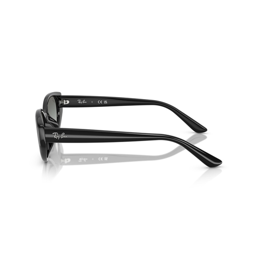 RAY-BAN RB4457D - 667711