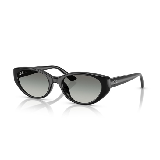 RAY-BAN RB4457D - 667711