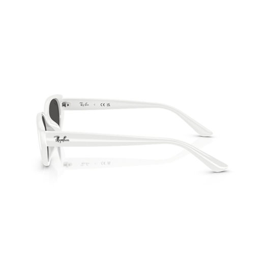 RAY-BAN RB4457D - 677287