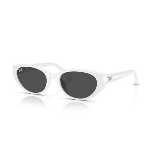 RAY-BAN RB4457D - 677287