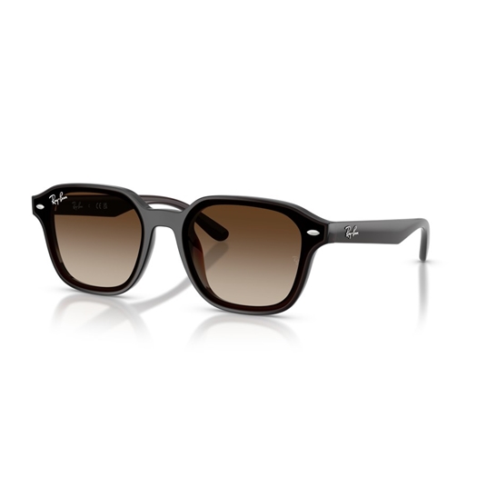 RAY-BAN RB4458D - 714/13