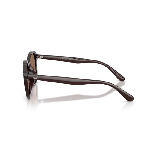 RAY-BAN RB4459D - 623173