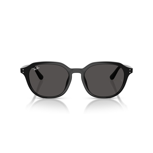 RAY-BAN RB4459D - 901/87