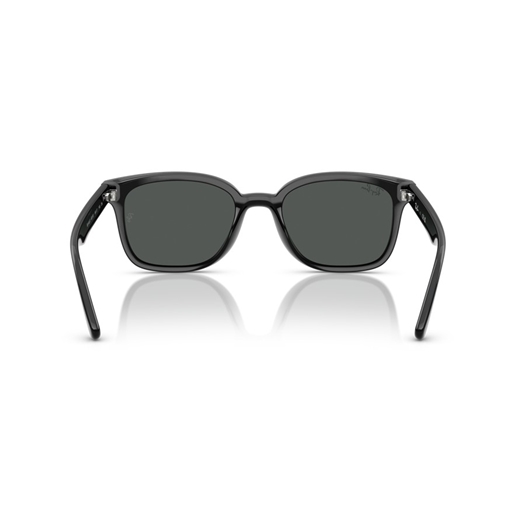 RAY-BAN RB4461D - 601/87