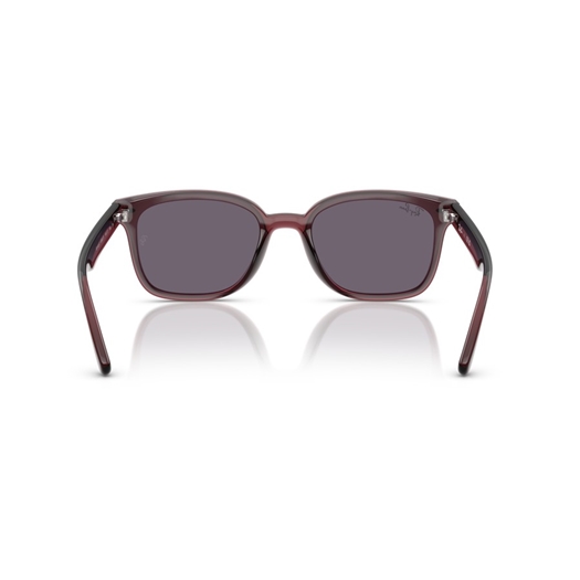RAY-BAN RB4461D - 659373