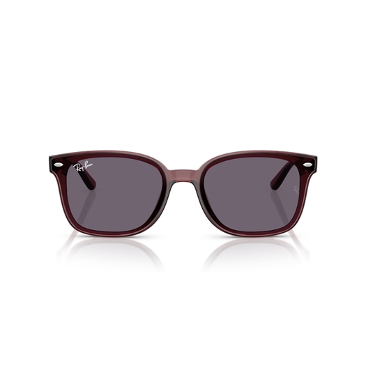 RAY-BAN RB4461D - 659373
