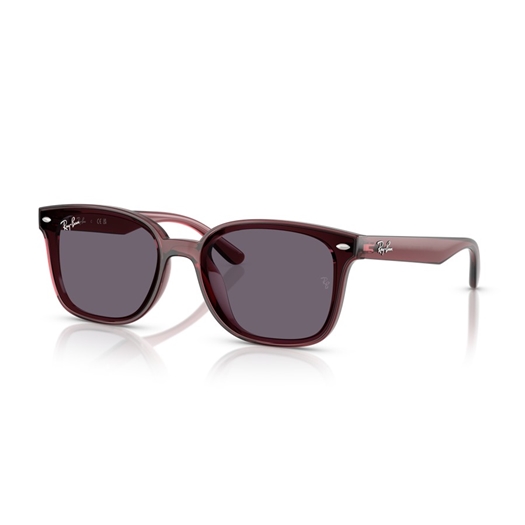 RAY-BAN RB4461D - 659373