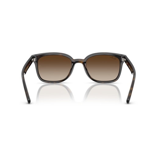 RAY-BAN RB4461D - 710/13