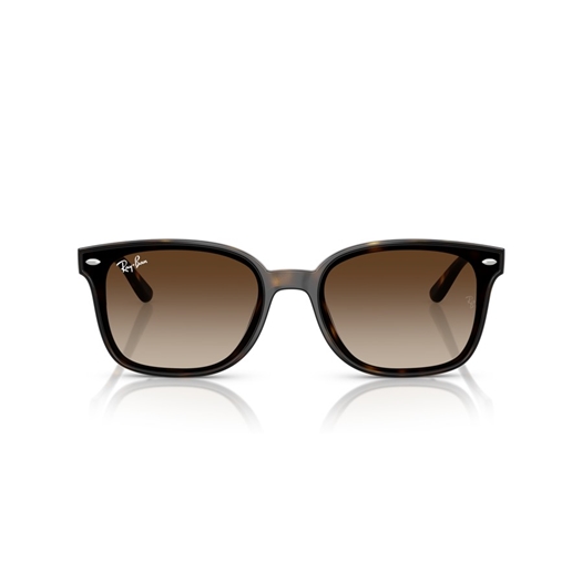 RAY-BAN RB4461D - 710/13