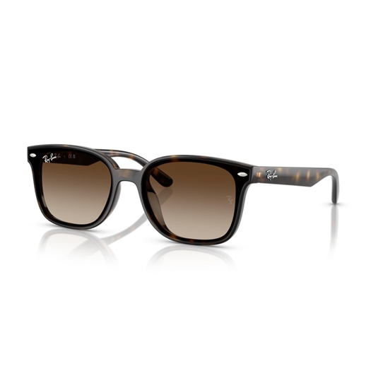 RAY-BAN RB4461D - 710/13