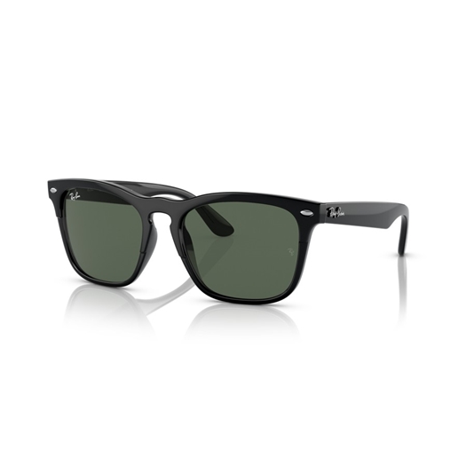 RAY-BAN RB4487 - 662971 STEVE