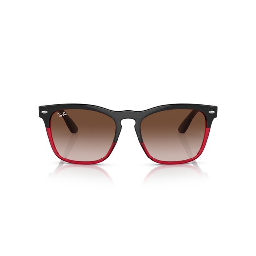 RAY-BAN RB4487 - 663113 STEVE