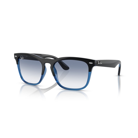 RAY-BAN RB4487 - 663219 STEVE