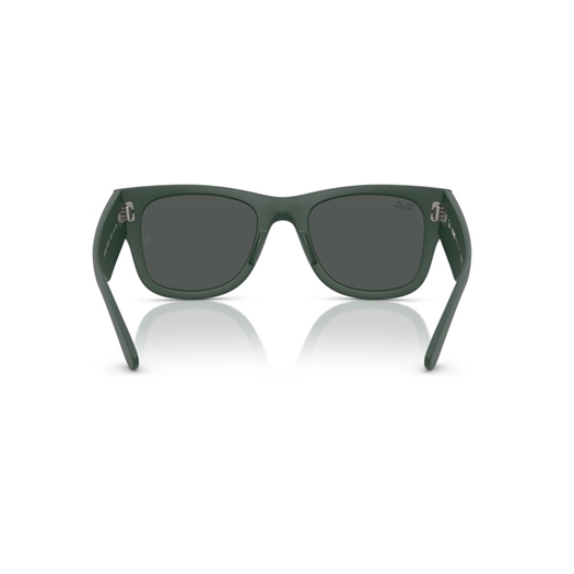 RAY-BAN RB4840S - 665787