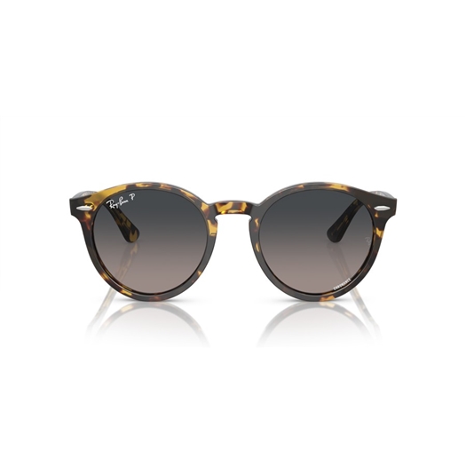 RAY-BAN RB7680S - 1332GL LARRY