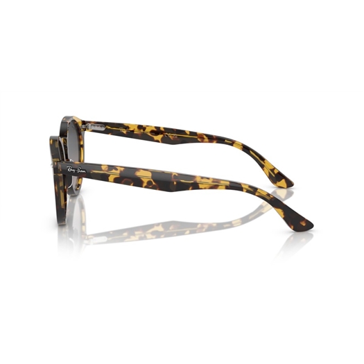 RAY-BAN RB7680S - 1332GL LARRY