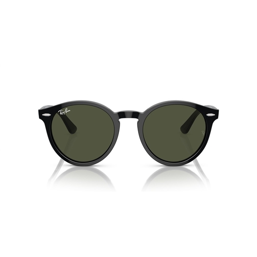 RAY-BAN RB7680S - 901/31 LARRY