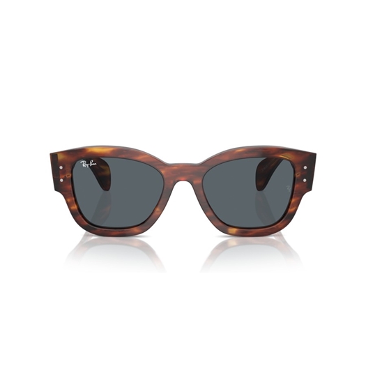 RAY-BAN RB7681S - 954/R5 JORGE