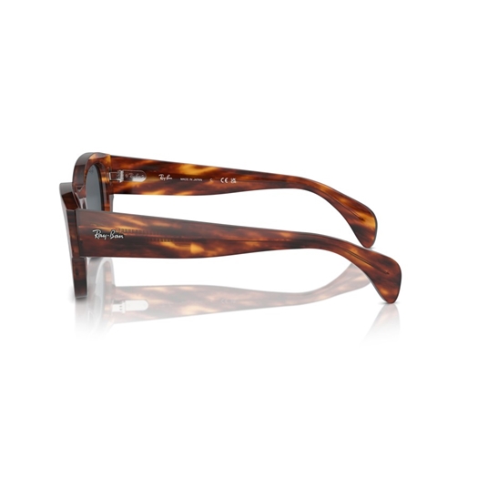 RAY-BAN RB7681S - 954/R5 JORGE