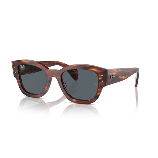 RAY-BAN RB7681S - 954/R5 JORGE