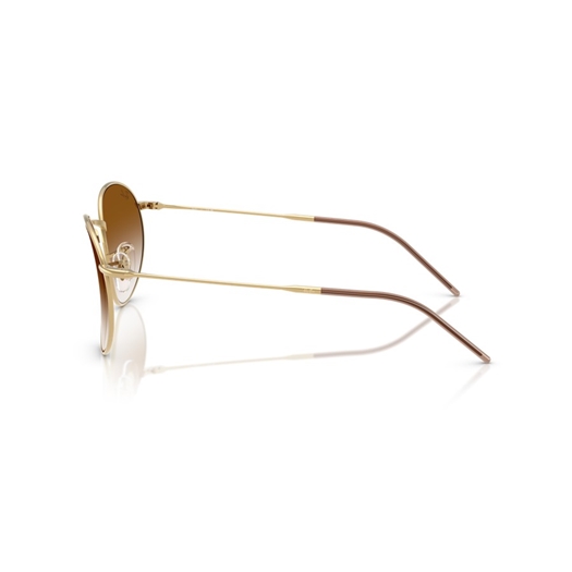 RAY-BAN RBR0103S - 001/CB ROUND REVERSE