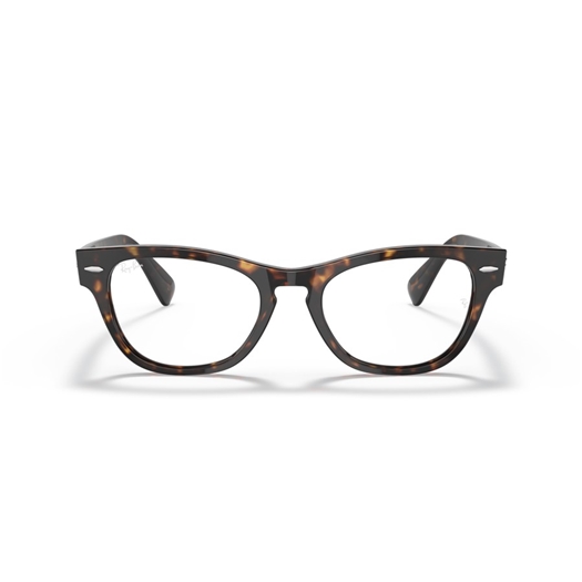 RAY-BAN RX2201V - 2012 LARAMIE