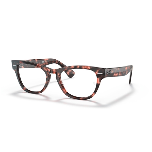 RAY-BAN  RX2201V - 8118 LARAMIE