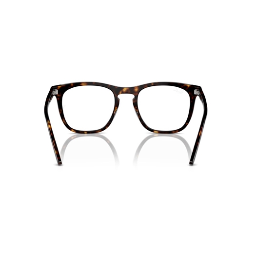 RAY-BAN  RX2210V - 2012