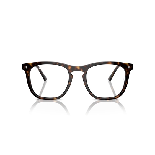 RAY-BAN  RX2210V - 2012