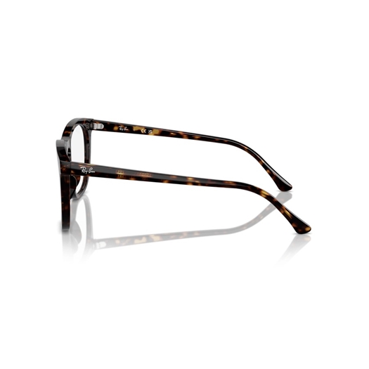 RAY-BAN  RX2210V - 2012