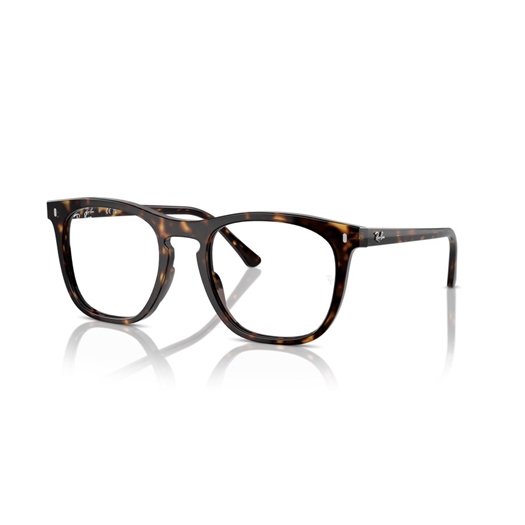 RAY-BAN  RX2210V - 2012