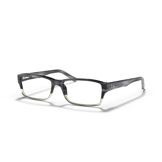 RAY-BAN RX5169 - 5540