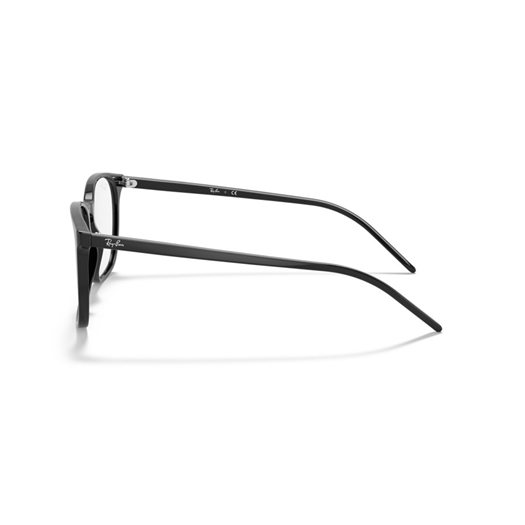 RAY-BAN  RX5387 - 2000
